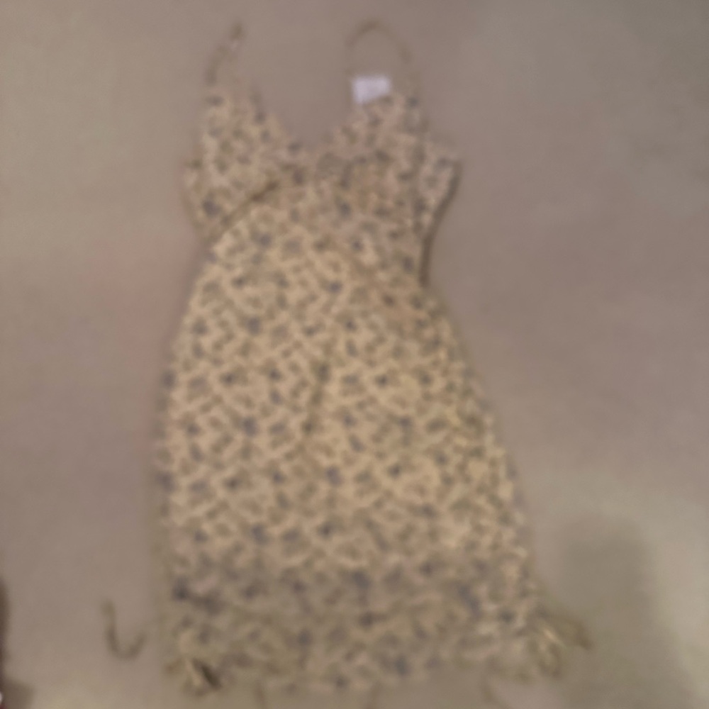 Forever 21 Cream and Blue Floral Mini Dress